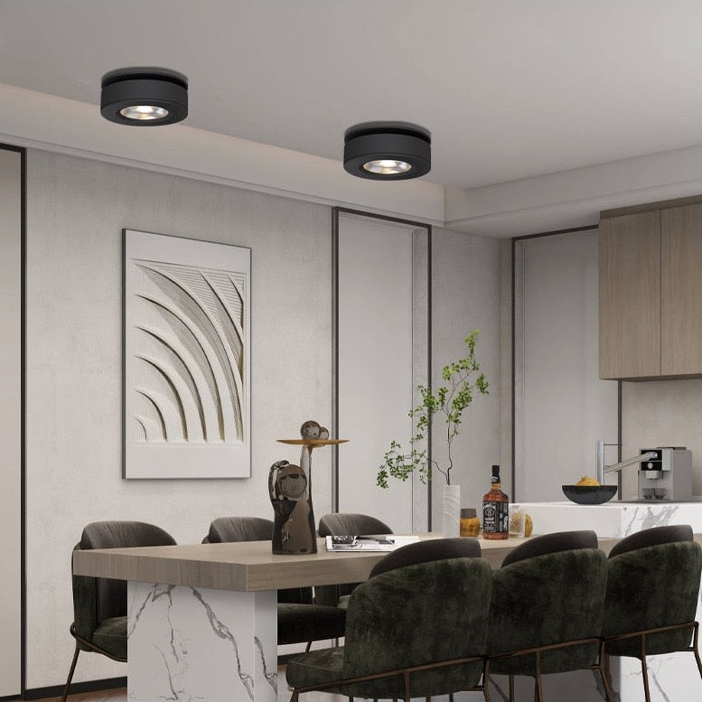 Titus - Surface Mounted LED Ceiling Downlight Built In Spot Light